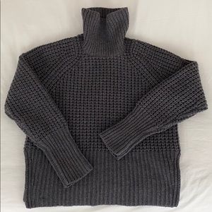 Everlane Turtleneck Sweater